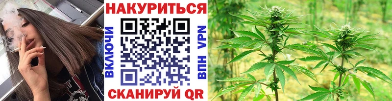 Купить наркотик Павловск ГАШ  Галлюциногенные грибы  Кокаин  Меф мяу мяу  МАРИХУАНА  A PVP 