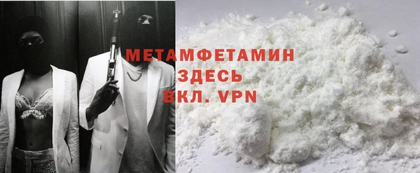 прущие грибы Богданович