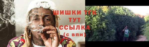 винт Белокуриха