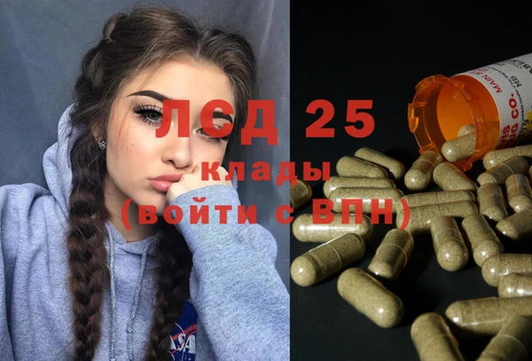 ГАЛЛЮЦИНОГЕННЫЕ ГРИБЫ Заволжск