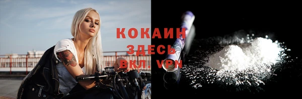 мескалин Богородицк
