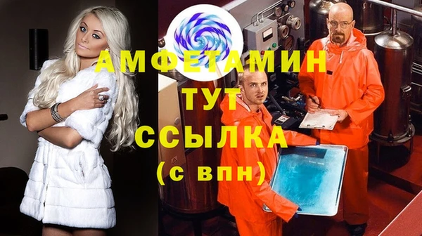 стаф Дмитров