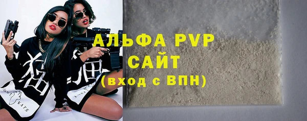 стаф Дмитров